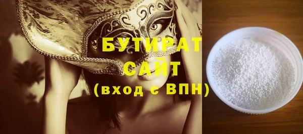 индика Вяземский