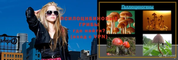 индика Вяземский