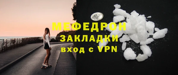 индика Вяземский