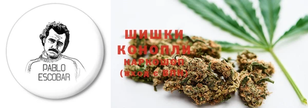 индика Вяземский