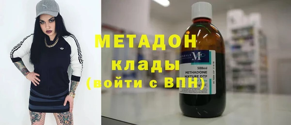 индика Вяземский