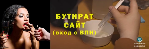 индика Вяземский