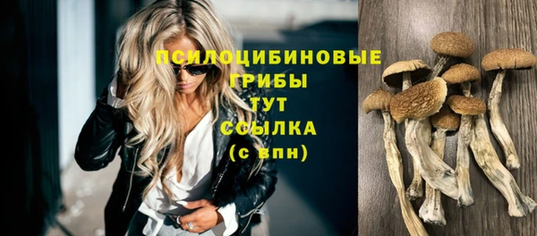 индика Вяземский