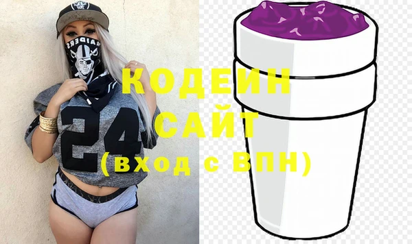 индика Вяземский