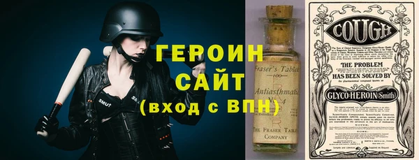 индика Вяземский