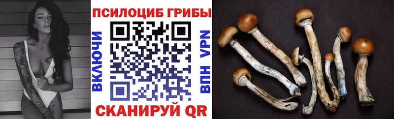 это Telegram  где найти   Давлеканово  Псилоцибиновые грибы GOLDEN TEACHER 